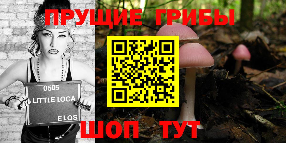 Псилоцибиновые грибы мицелий  Вход с VPN  хочу   Зеленодольск 