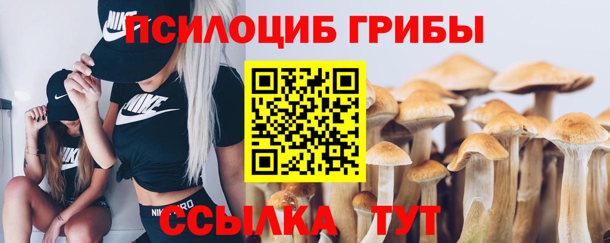 Галлюциногенные грибы GOLDEN TEACHER Зеленодольск